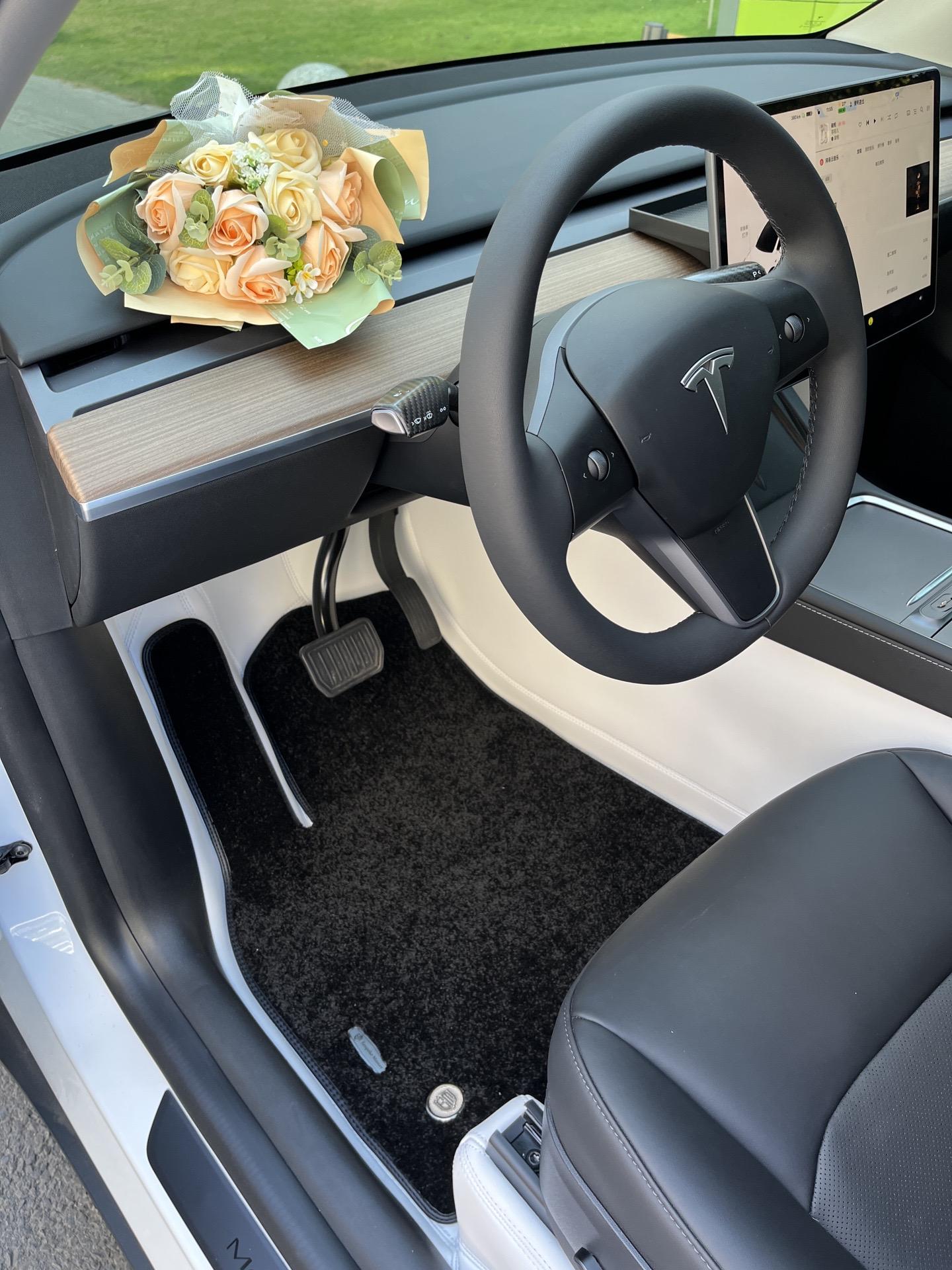 Tesla Model 3/Y Full Coverage Leather Floor Mats All-weather Anti-slip Waterproof Soft Surround Floor Liners